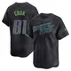 Tampa Bay Rays ＃81 Alexander Cook Men's Limited 2024 City Connect Jersey - Charcoal